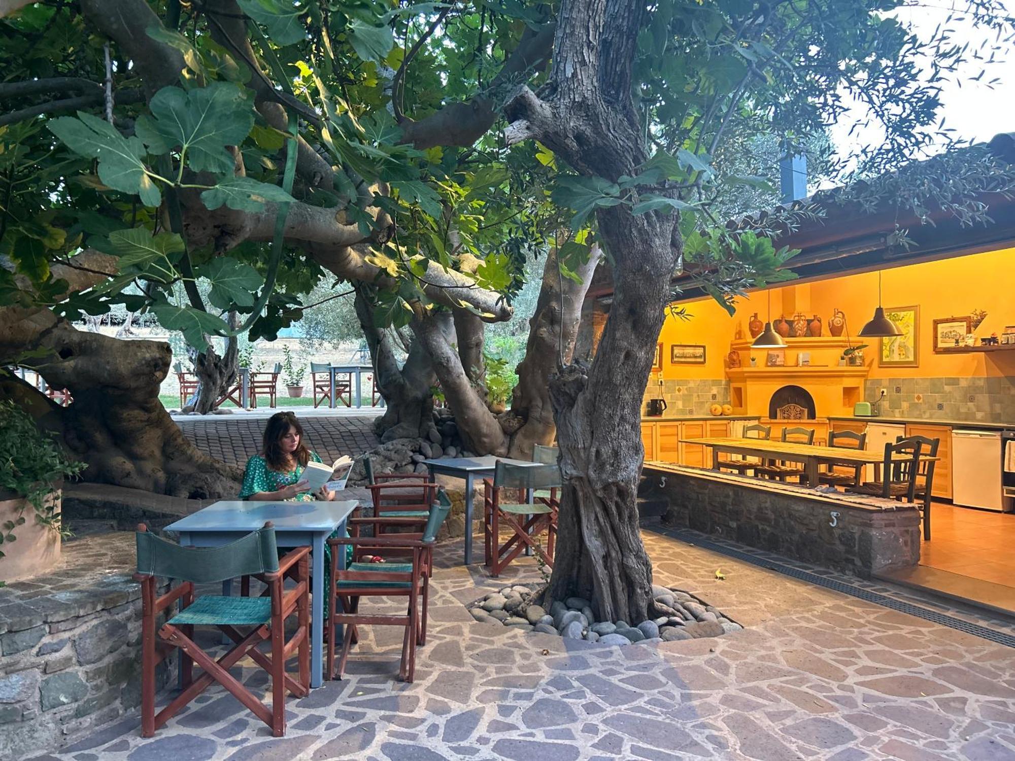 Pyrgi Thermis Villa Daphnis & Chloe מראה חיצוני תמונה