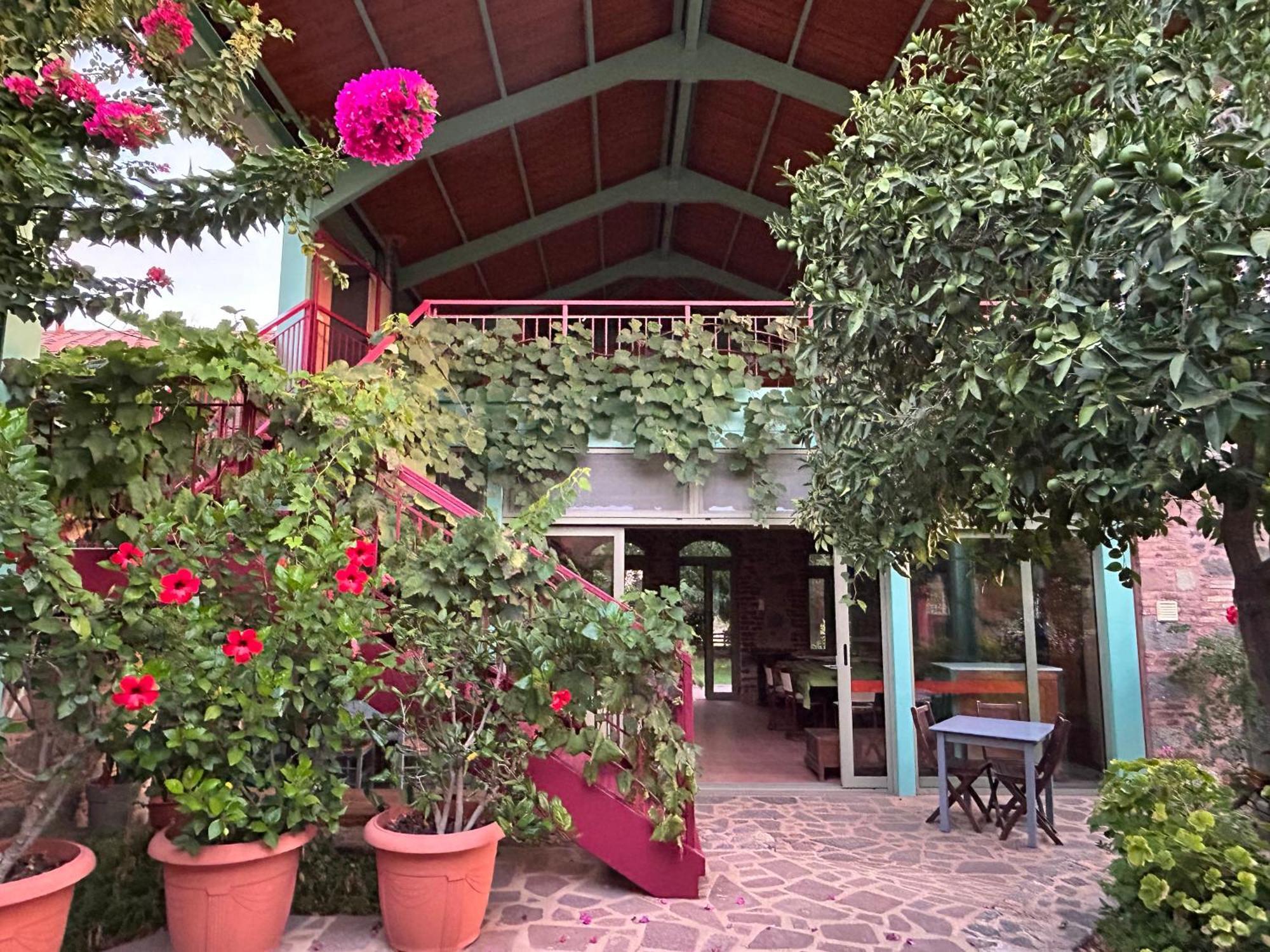 Pyrgi Thermis Villa Daphnis & Chloe מראה חיצוני תמונה